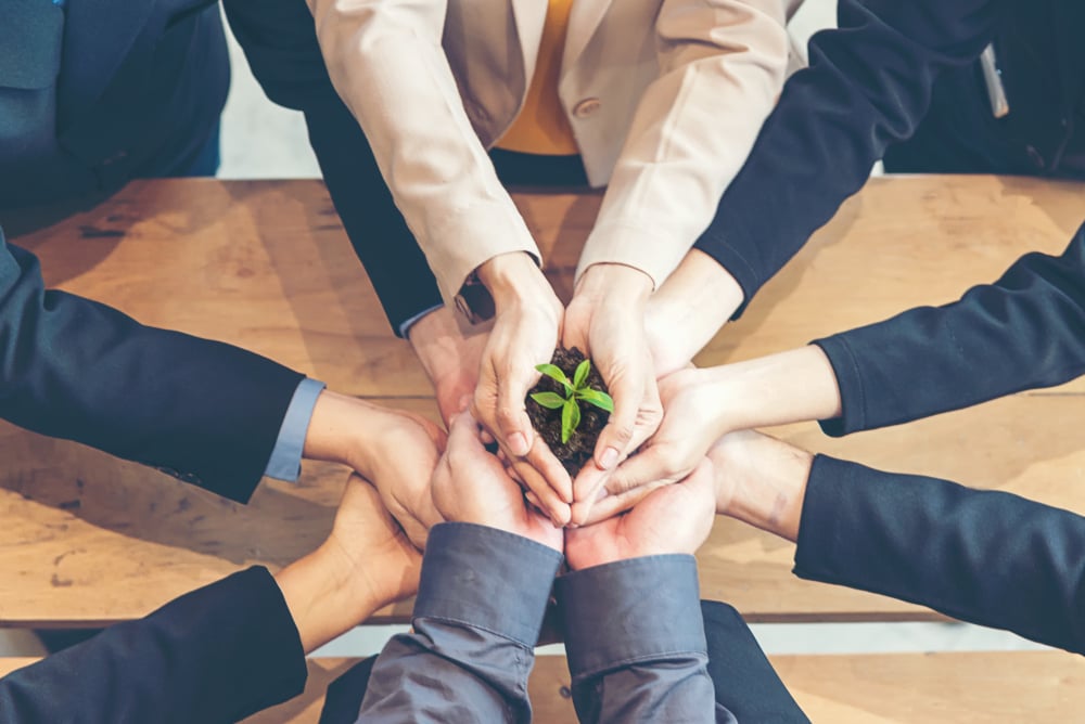Hands of Business People Growing a Seedling